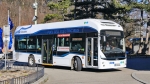 Wasserstoff-Busse erstmals auf Österreichs Straßen unterwegs